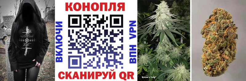 цена наркотик Владивосток Шишки марихуана Amnesia